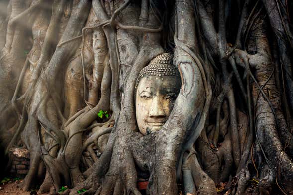 Tour pelos mercados de Bangkok + Ruínas de Ayutthaya