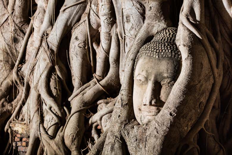 Templos de Angkor