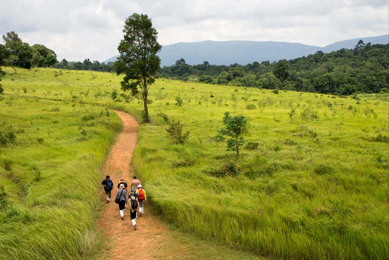 Fazendo a trilha do Parque Nacional Khao Yai