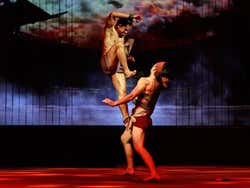 Muay Thai Live
